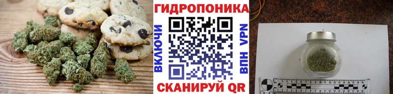Canna-Cookies марихуана  купить наркотики сайты  Моршанск 