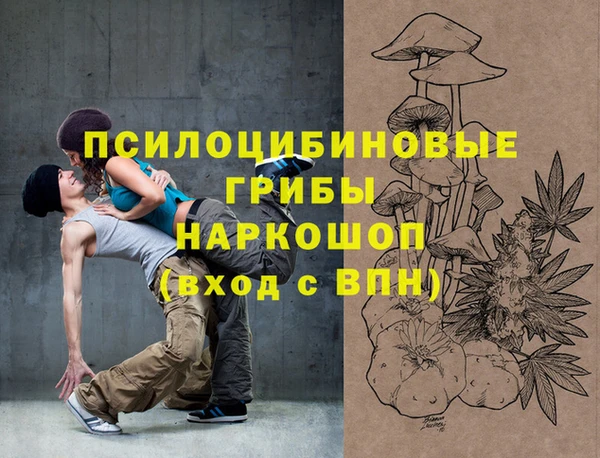 крисы Абдулино