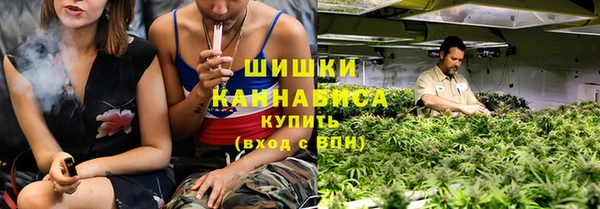 крисы Абдулино