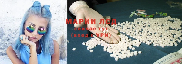 крисы Абдулино