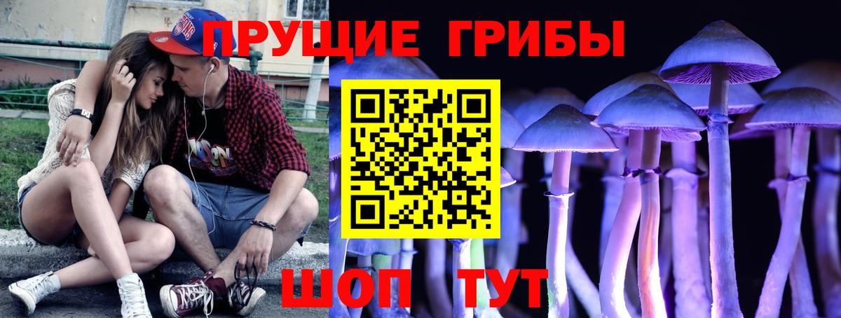 Псилоцибиновые грибы мицелий Моршанск